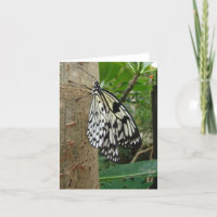 Rice Paper Butterfly Notecard