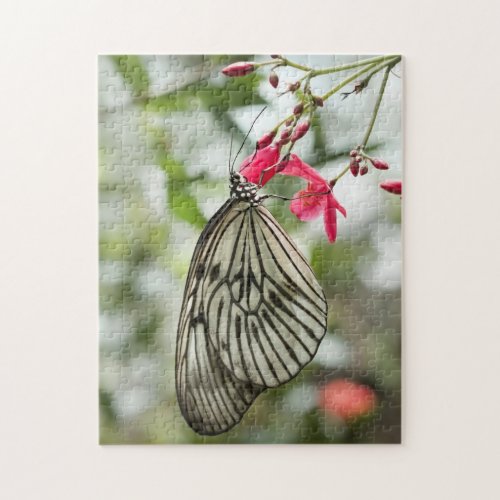 Rice Paper butterfly Paper Kite Idea leuconoe Jigsaw Puzzle