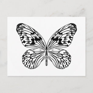 Rice Paper Butterfly Postcard