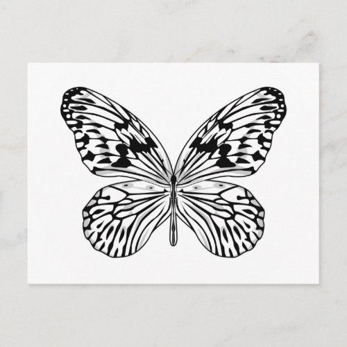 Rice Paper Butterfly Postcard