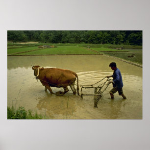 Rice Plow Poster