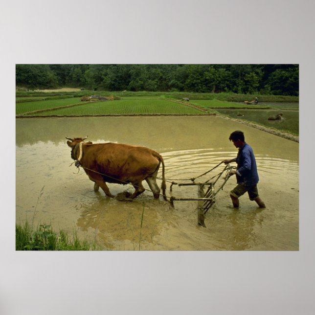 Rice Plow Poster (Front)