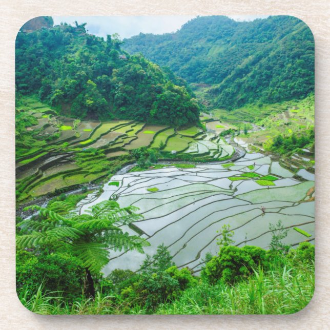Rice terrace landscape, Philippines Drink Coaster (Front)