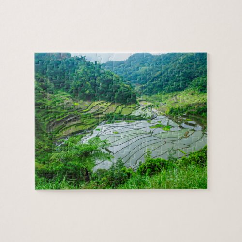 Rice terrace landscape Philippines Jigsaw Puzzle