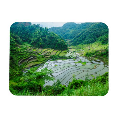 Rice terrace landscape Philippines Magnet