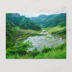 Rice terrace landscape, Philippines Postcard
