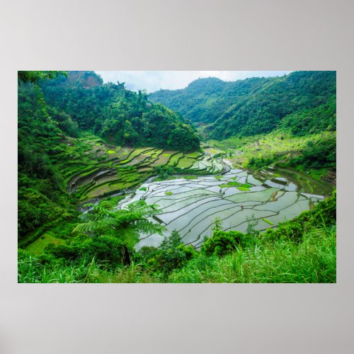 Rice terrace landscape Philippines Poster