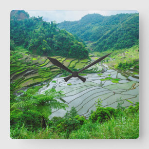 Rice terrace landscape, Philippines Square Wall Clock