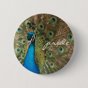 Rich Color Photo of Peacock with "Pride" Message Pinback Button
