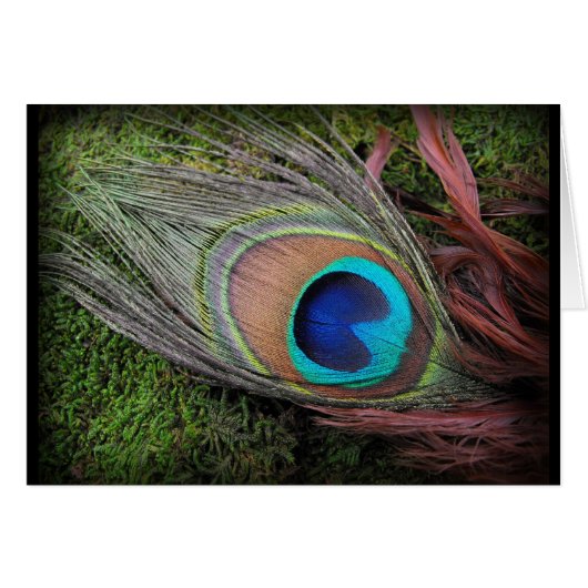 Rich, Elegant Peacock Feather Photograph Cards (Front Horizontal)