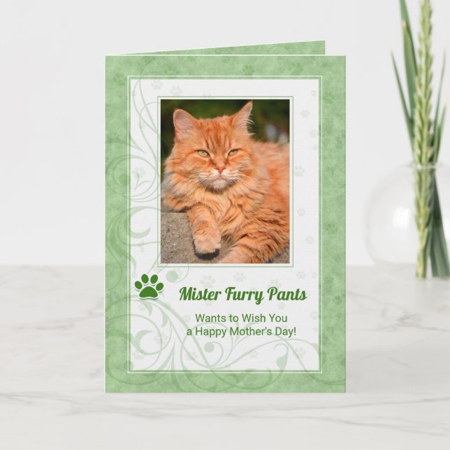 Rich Green From the Cat Mother's Day Photo Card (Front)