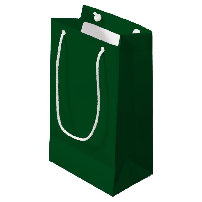 Rich Green (Solid) Small Gift Bag (Front Angled)