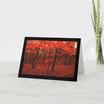 Rich In Red Card by DesireeGriffiths at Zazzle