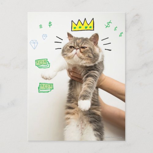 Rich King Cat Postcard