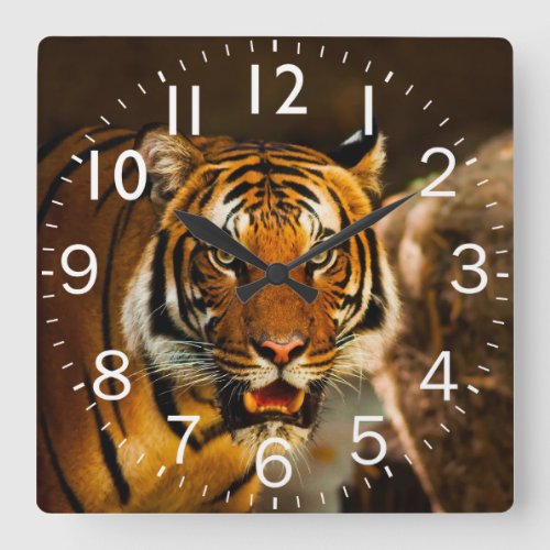 Rich Vibrant Tiger Square Wall Clock