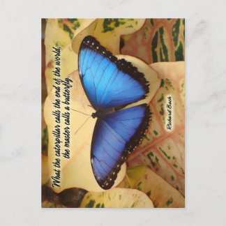 Richard Bach-The Caterpillar Postcard