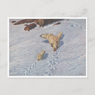 Richard Friese, Polar Bear Family Postcard