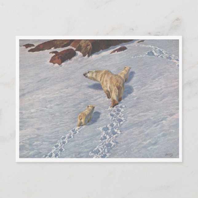Richard Friese, Polar Bear Family Postcard (Front)