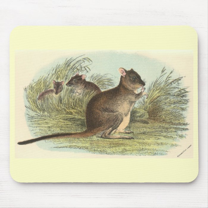 Richard Lydekker   Brush Tailed Rat Kangaroo Mouse Mat