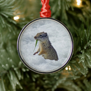 Richardson Ground Squirrel Metal Ornament