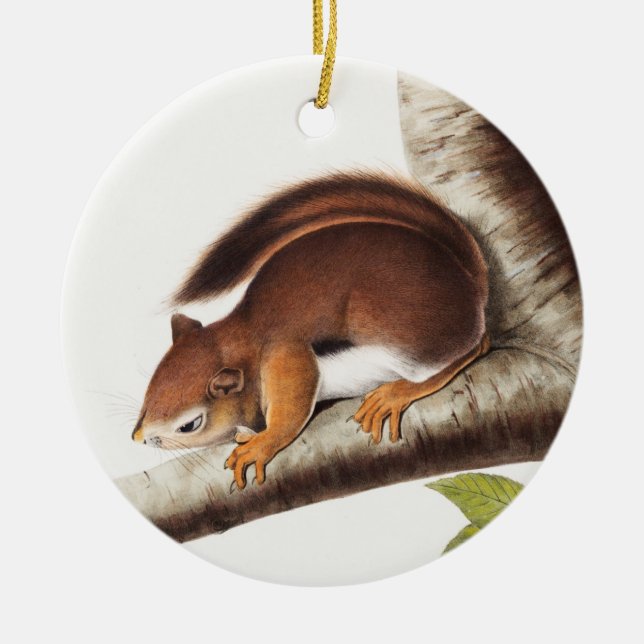 Richardson's Columbian Squirrel Illustration Ceramic Ornament (Front)