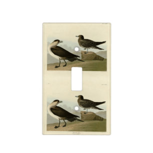 Richardson's Jager from Audubon's Birds of America Light Switch Cover