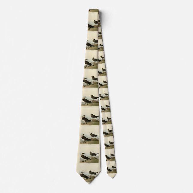 Richardson's Jager from Audubon's Birds of America Neck Tie (Front)