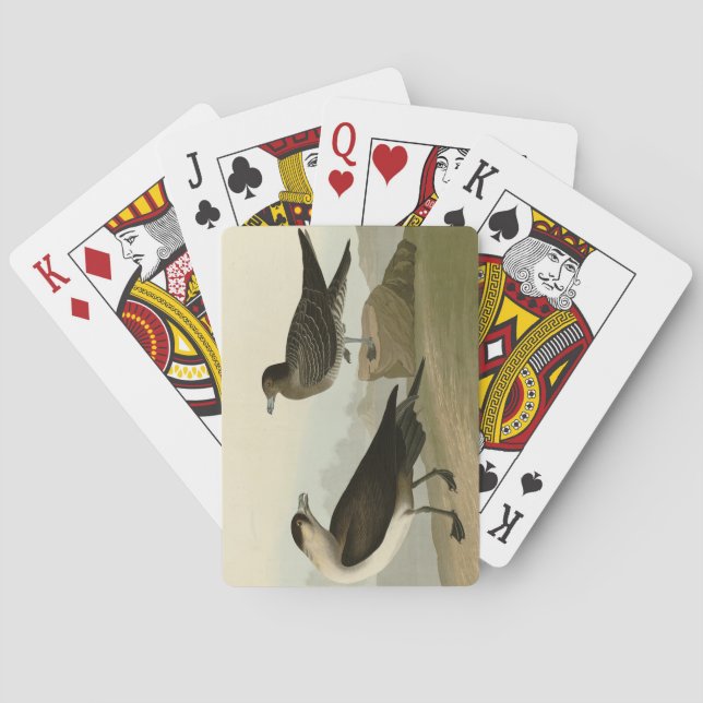 Richardson's Jager from Audubon's Birds of America Poker Cards (Back)