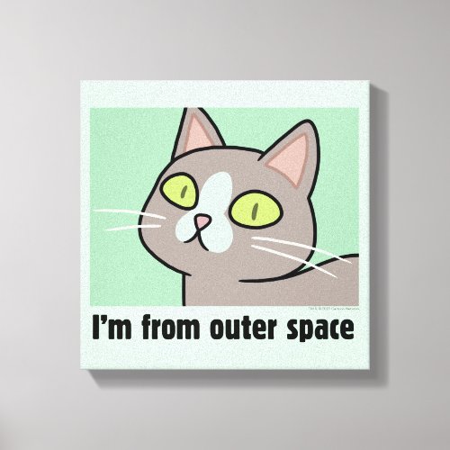 RICK AND MORTY  Im From Outer Space Canvas Print