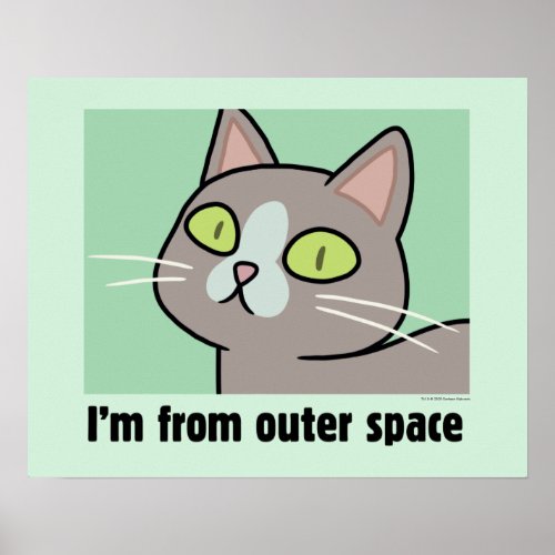 RICK AND MORTY  Im From Outer Space Poster