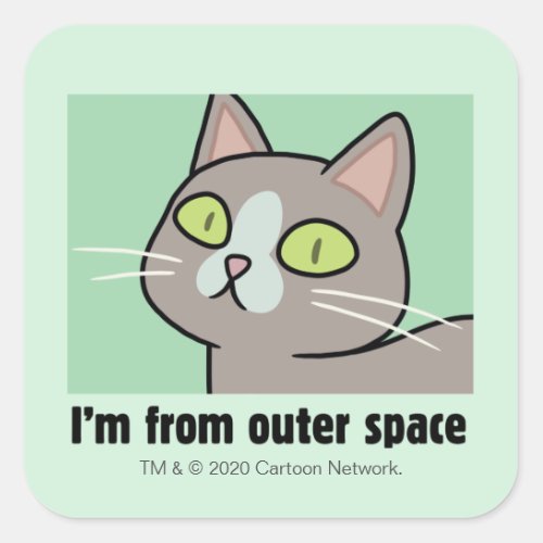 RICK AND MORTY  Im From Outer Space Square Sticker