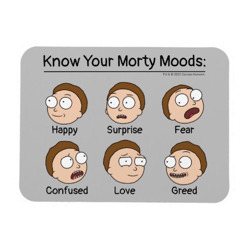 RICK AND MORTY  Mortys Moods Magnet