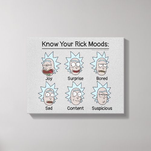 RICK AND MORTY  Ricks Moods Canvas Print