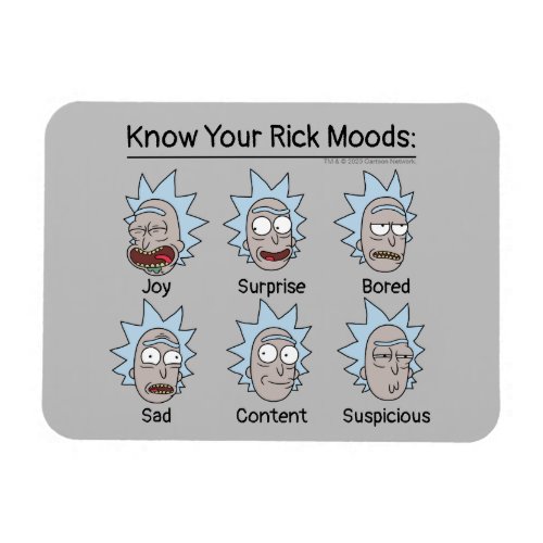 RICK AND MORTY  Ricks Moods Magnet