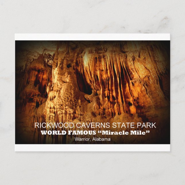 RICKWOOD CAVERNS STATE PARK - WARRIOR, ALABAMA POSTCARD (Front)