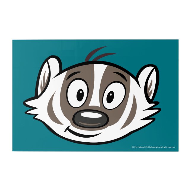 Ricky Raccoon | Boomer Badger Face Acrylic Print (Front)