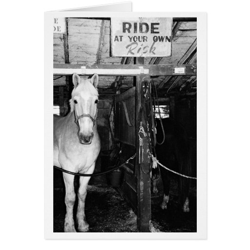 Ride at Your Own Risk Card | Zazzle