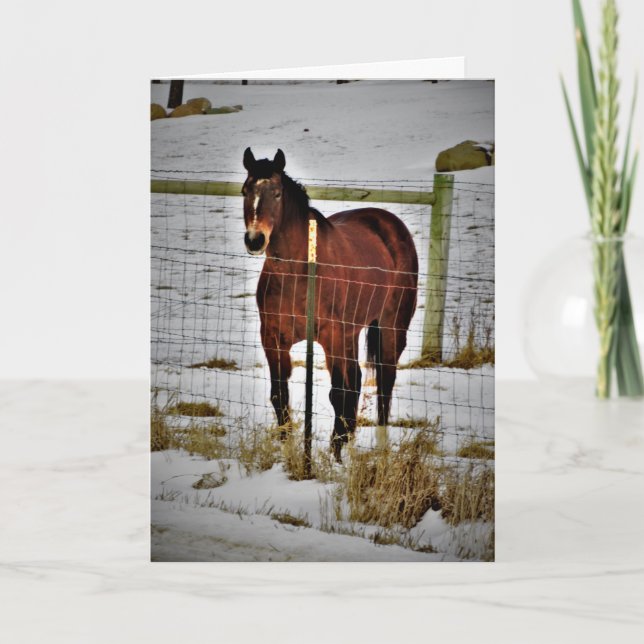 "Ride Away" Birthday Card (Front)