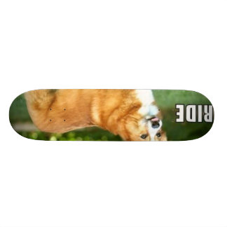 Ride For The Corgi Skateboard Deck