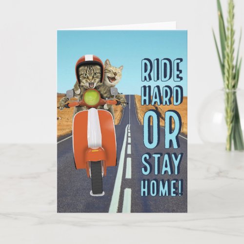 Ride Hard or Stay Home _ Cats on a Moped Card