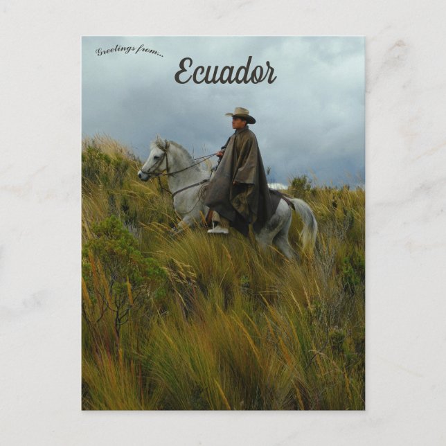 Rider and Horse in Cotopaxi Ecuador Postcard (Front)