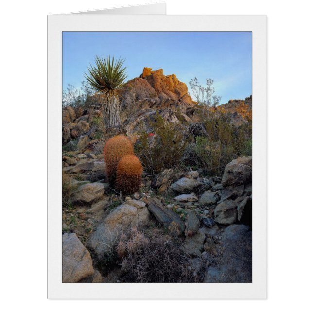 "Ridge Route Colors" Cards (Front)