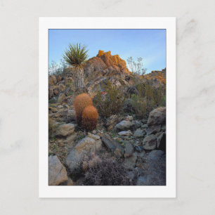 Ridge Route Colors Postcard