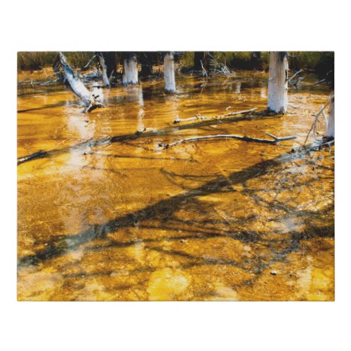 Ridgepole Pines in Yellowstone Faux Canvas Print