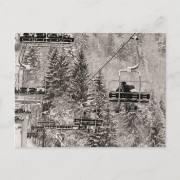 Riding Above The Trees Postcard by windsorprints at Zazzle