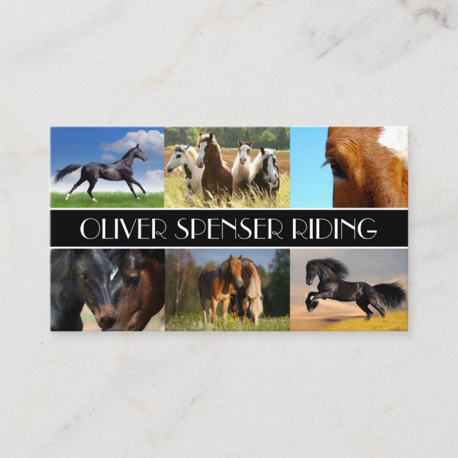 Riding Instructor Horse Training School Business Card (Front)