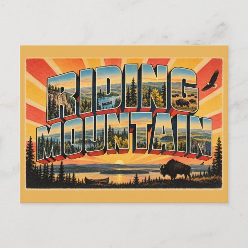Riding Mountain MB Escarpment Bison Lake Art Postcard