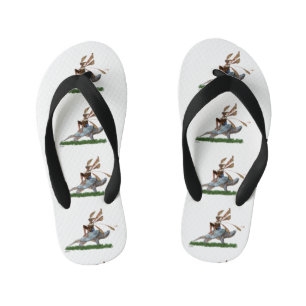 Riding On Turtle Flip Flops