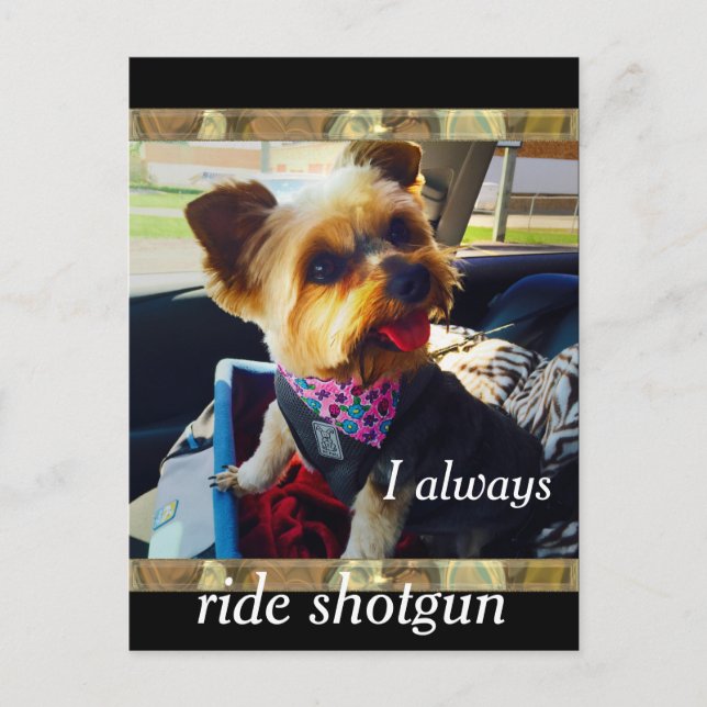 Riding Shotgun Yorkie Personalize Postcard (Front)