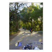 Riding to Snook Haven (Front)